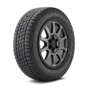 NEUMATICOS FALKEN 235/55R19 WP ATTR