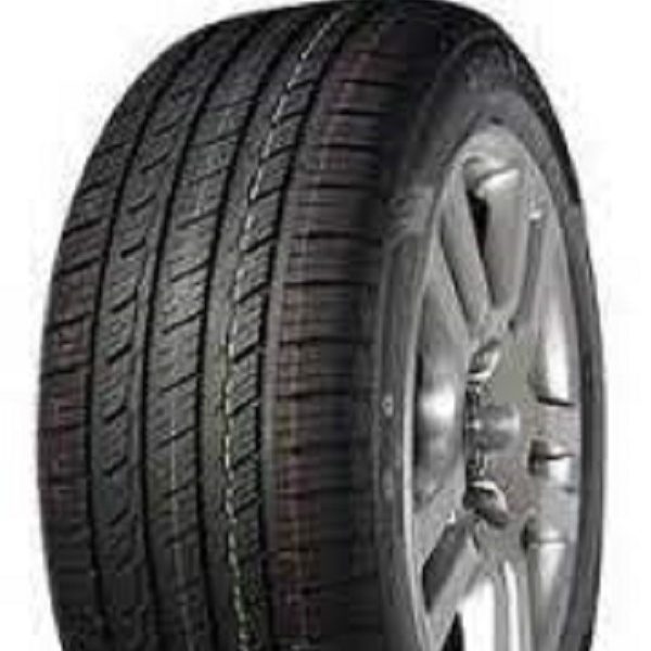 N2025550ROYA01